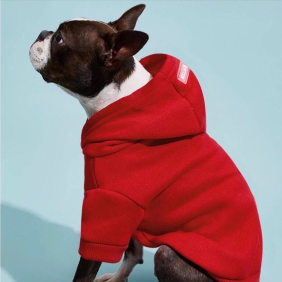 SOLD Dog Hoodies or Cat - Picture 2 of 6